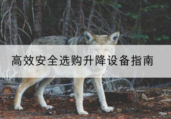 广州升降货梯厂家推荐-*安全选购升降设备指南