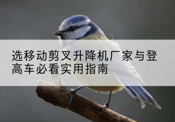 广州电动升降机厂家-选移动剪叉升降机厂家与登高车必看实用指南