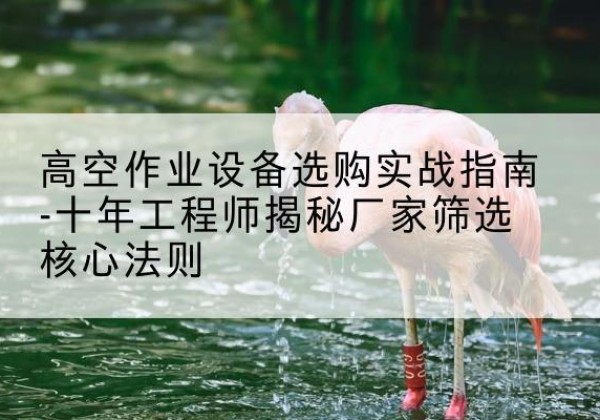 广州剪叉式升降机厂家-高空作业设备选购实战指南-十年工程师揭秘厂家筛选核心法则